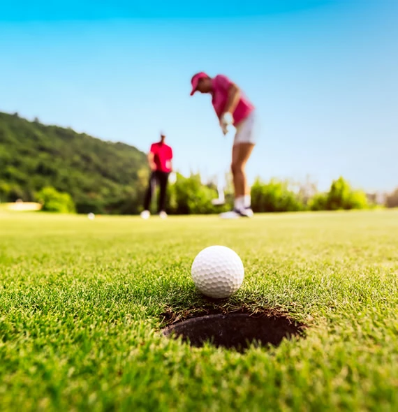 BALLS Sales Store -BALLS Sales Store NewMembers