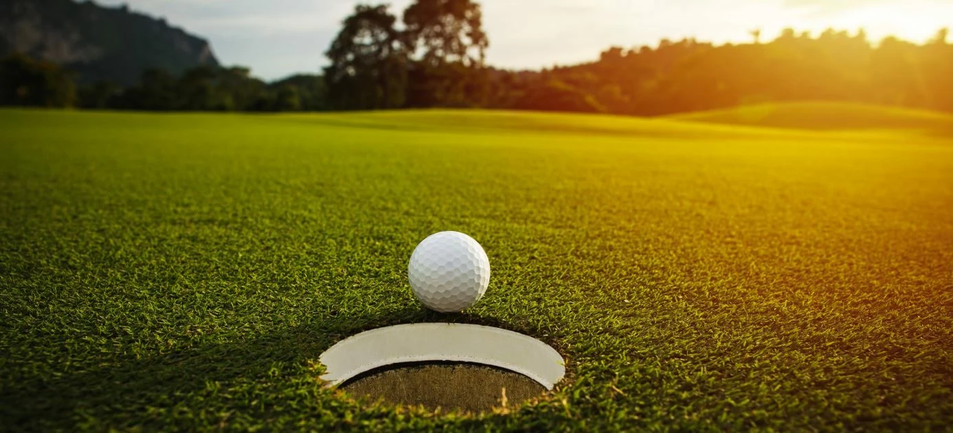 BALLS Sales Store -BALLS Sales Store Strip 1387x630 1