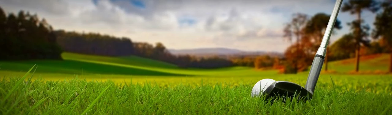 BALLS Sales Store -BALLS Sales Store large open air course with golf stick and ball web header