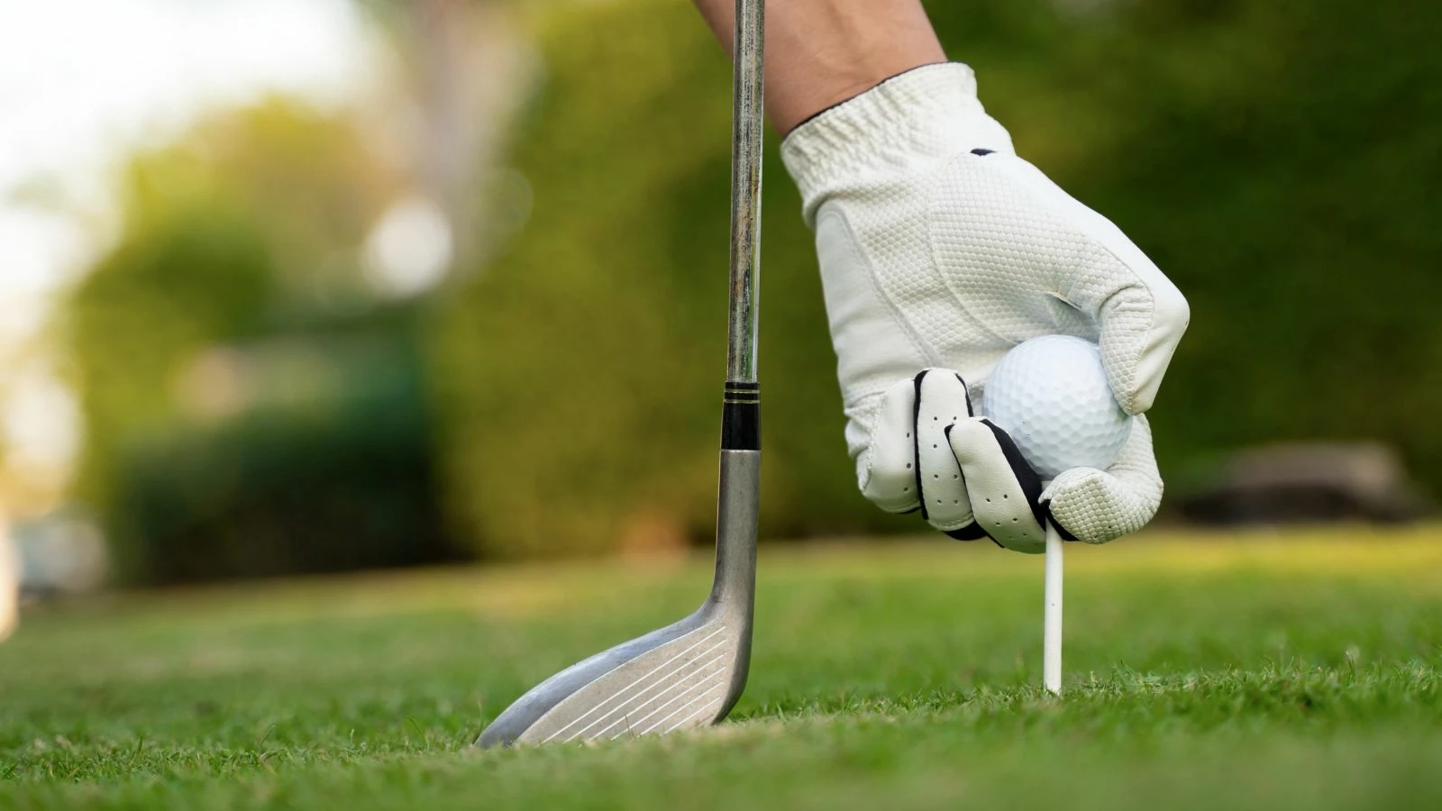 BALLS Sales Store -BALLS Sales Store tee off golf mulligan